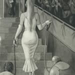 Sardax - Illustration